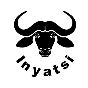 logo - Inyatsi Construction